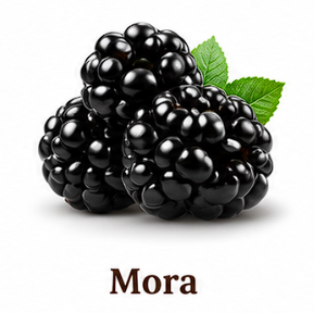 Mora VidaGurt