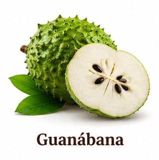 Guanábana VidaGurt