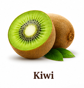 Kiwi VidaGurt